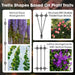 Various cable trellis shapes and grid arrangements suitable for different climbing plant traits using RiaYer clips.