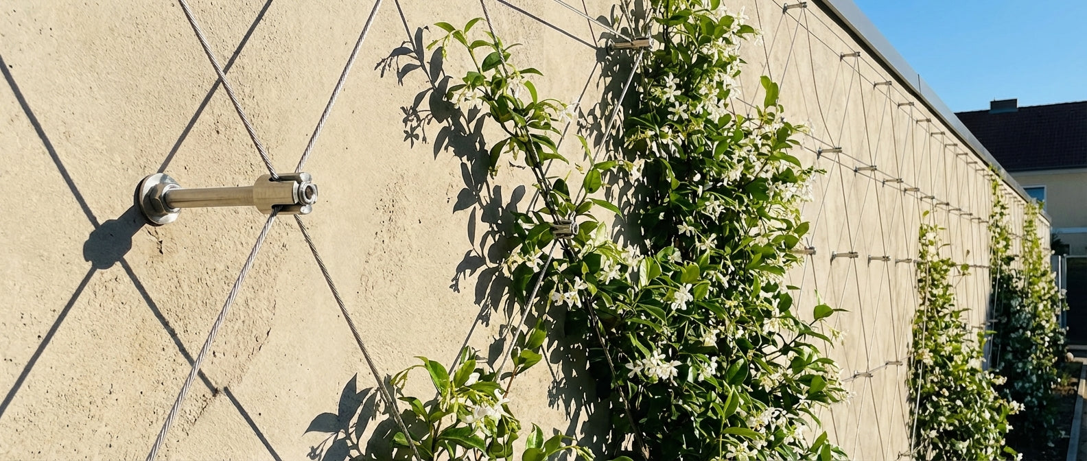 Complete stainless steel green wall trellis kit installed on an outdoor wall for climbing plants