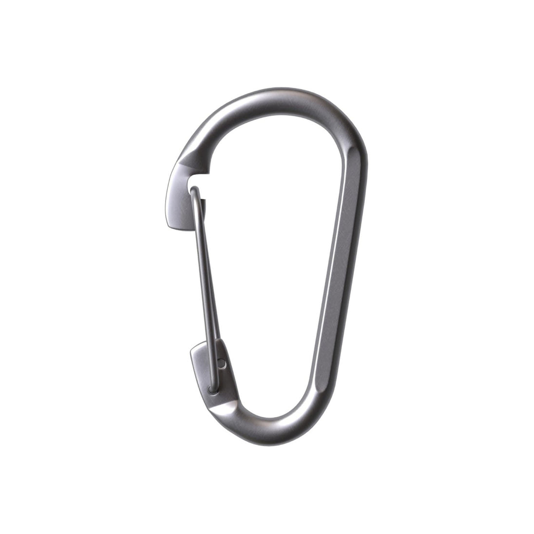 RiaYer heavy duty T316 marine grade stainless steel spring snap hook 5/16 inch.