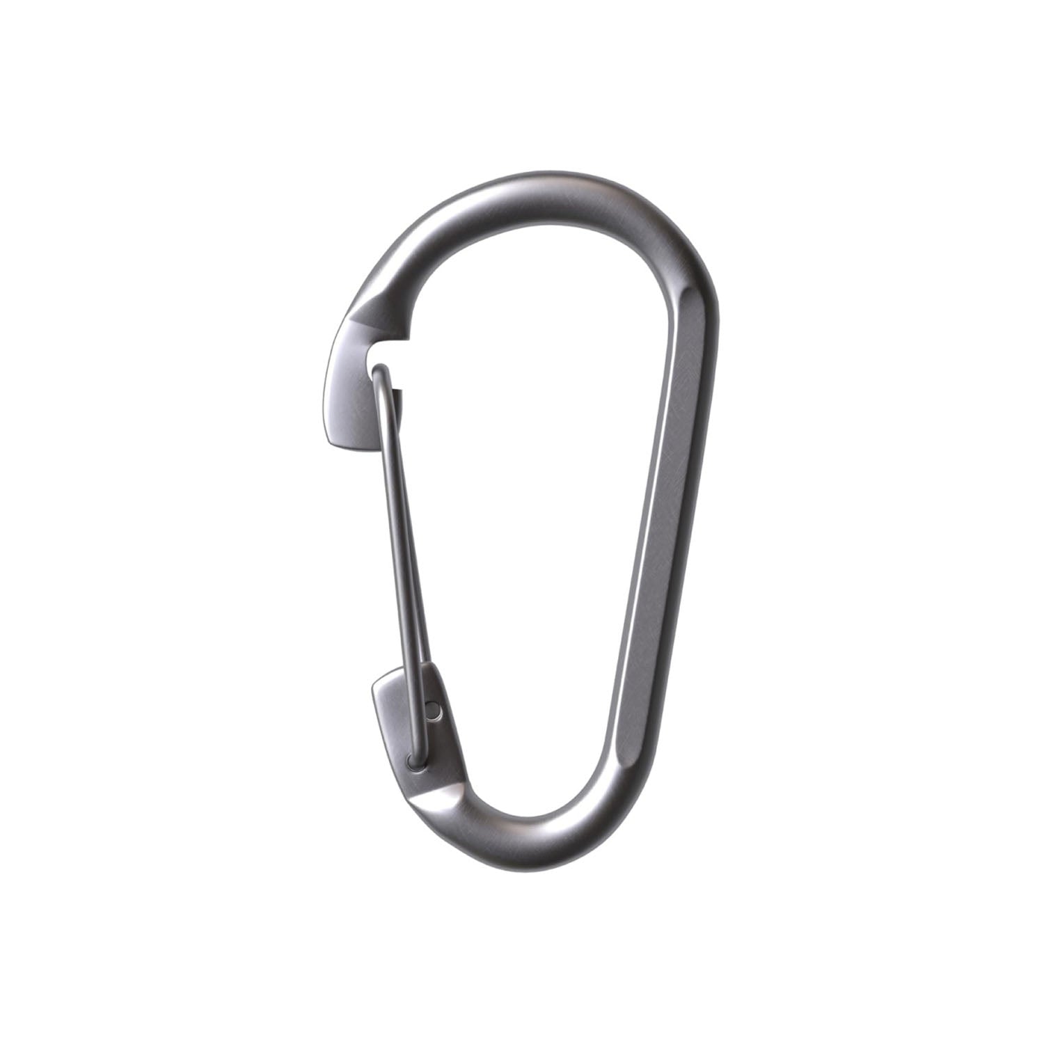 RiaYer heavy duty T316 marine grade stainless steel spring snap hook 5/16 inch.