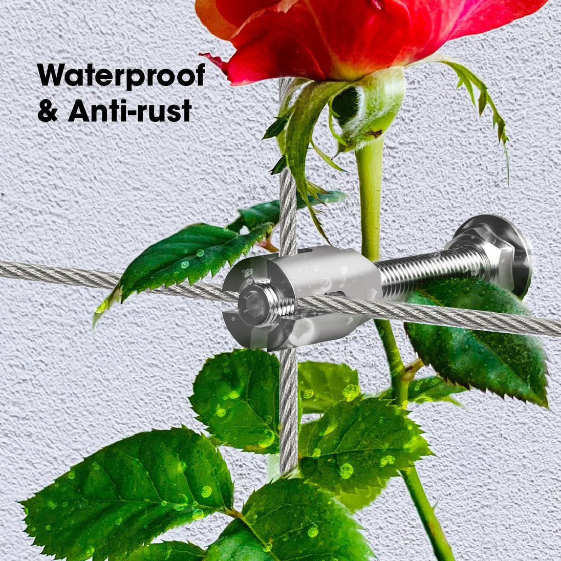 Waterproof and anti-rust features of adjustable T316 stainless steel trellis hubs supporting a rose