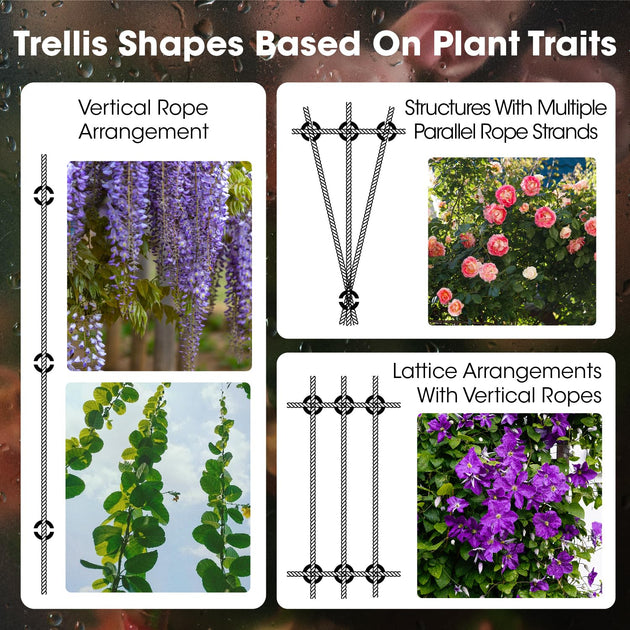 Different wire trellis shape designs based on climbing plant traits like vertical and lattice arrangements