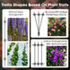 Different wire trellis shape designs based on climbing plant traits like vertical and lattice arrangements