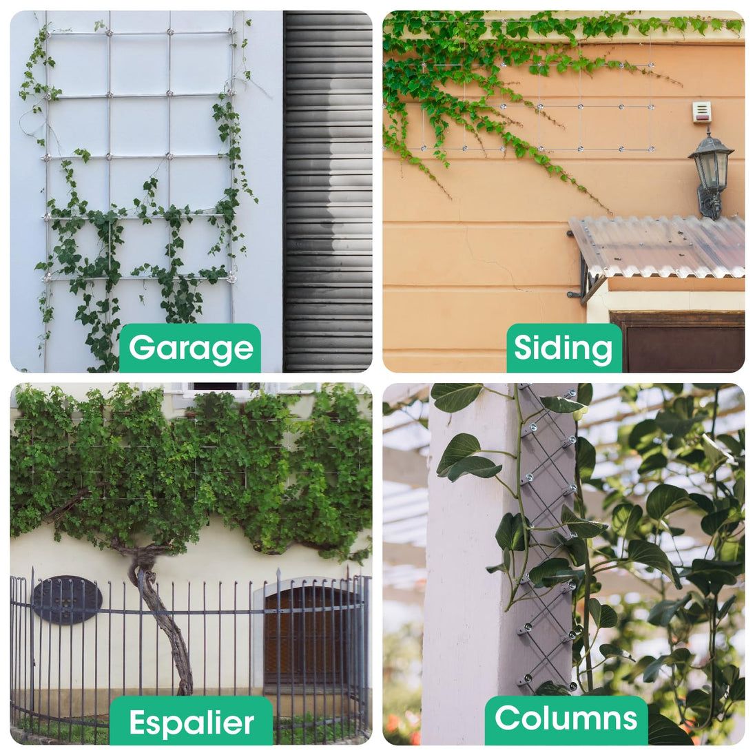 Real world applications of stainless steel wire trellis system on garage siding and fences
